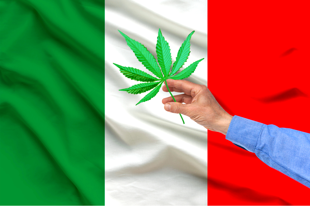 Image result for Cannabis Laws in Italy