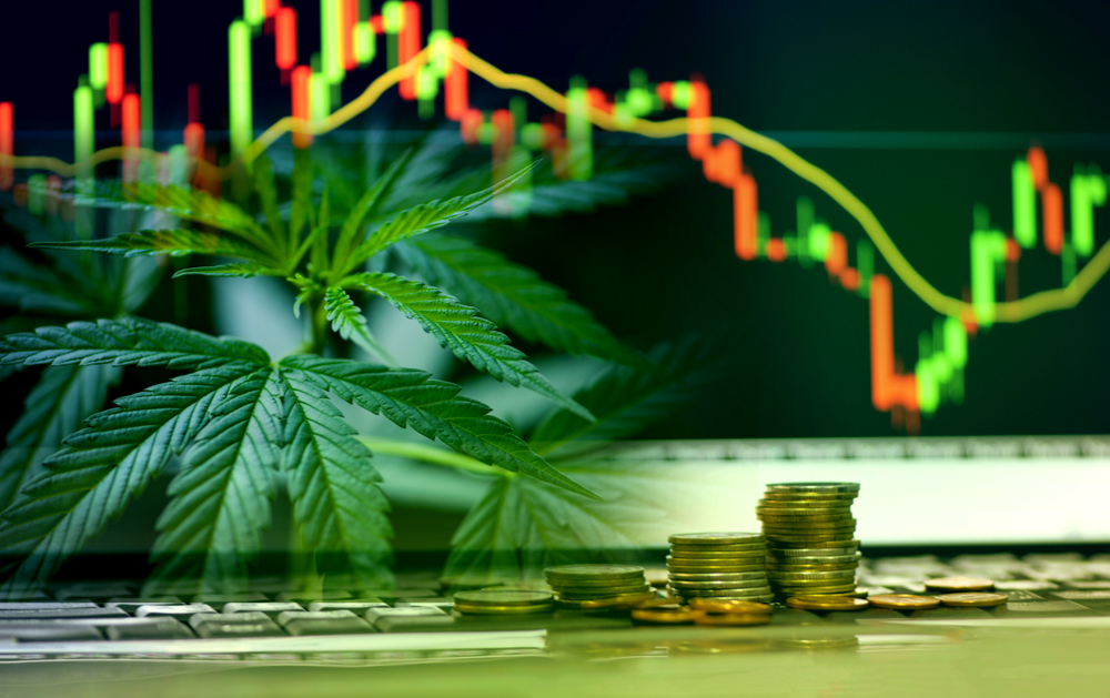 Cannabis Stock Report: The Best Pot Stock News This Week - PotNetwork
