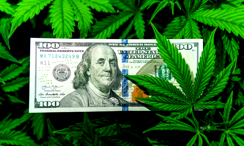 Cannabis Stock News - Cannabis Wheaton and Nutritional High