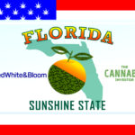 ‘This Team is Working Like a Well-Oiled Machine’: Red White & Bloom Kicks Off Phase 2 of its Florida Expansion, Announces Installation of 30 New Grow Pods