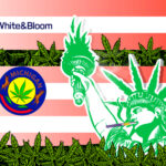 Red White & Bloom’s Platinum Vape Live Resin Now in Michigan, RWB to Release 2021 Year-End Earnings May 2nd