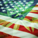 DEA Seizes Record Marijuana Plants – 5.7 Million Despite Declining Arrests