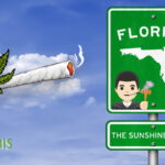 Florida's Cannabis Conundrum
