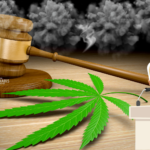 Bidens VA Blocks Medical Cannabis